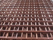 �~���늺��W(w��ng)